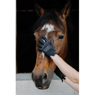 Gants Je t'aime Equithème Strass Noir Gants Je t'aime Equithème Strass Noir