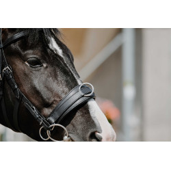 Caveçon large Norton Noir