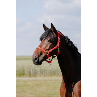 Licol Riding World Cushion Bordeaux