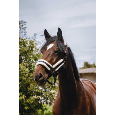 Licol nylon Equithème Fashion Noir