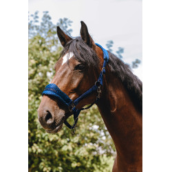 Licol nylon Equithème 3D Mesh Bleu roi
