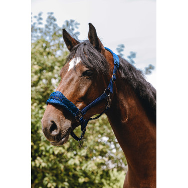 Licol nylon Equithème 3D Mesh Bleu roi