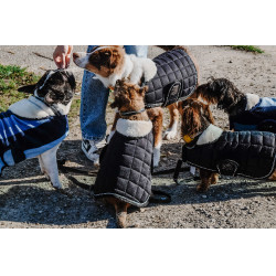 Couverture pour chien Equithème New Market Marine Bleu marine