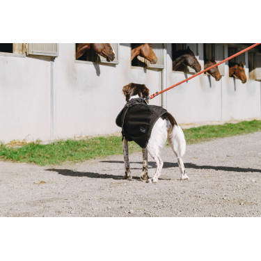 Couverture pour chien Equithème Softshell Noir