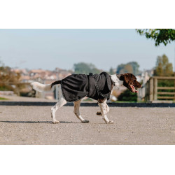 Couverture pour chien Equithème Softshell Noir