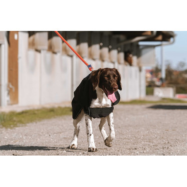 Couverture pour chien Equithème Softshell Noir