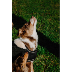 Couverture pour chien Je t'aime Equithème Noir