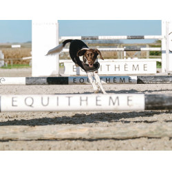 Couverture pour chien Je t'aime Equithème Noir