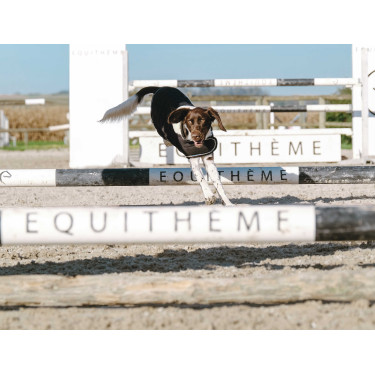 Couverture pour chien Je t'aime Equithème Noir
