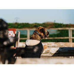 Couverture pour chien Je t'aime Equithème Noir