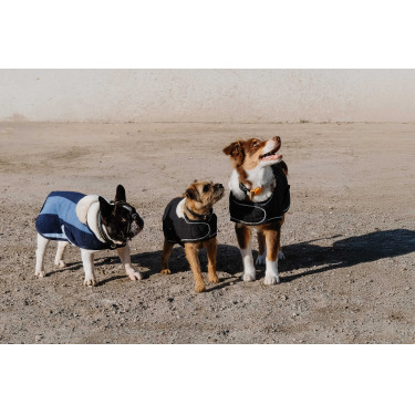 Couverture pour chien Je t'aime Equithème Noir