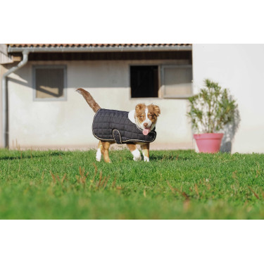 Couverture pour chien Je t'aime Equithème Noir