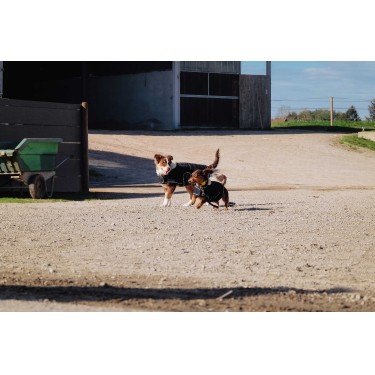 Couverture pour chien Je t'aime Equithème Noir