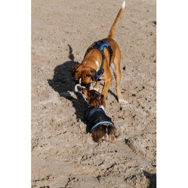 Couverture pour chien Equithème Eco 600D Marine Bleu marine