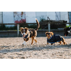 Couverture pour chien Equithème Eco 600D Marine Bleu marine