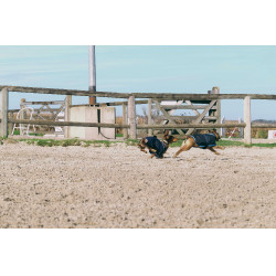 Chemise polaire pour chien Equithème Marine Bleu marine