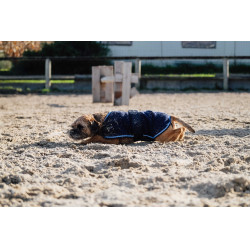 Chemise polaire pour chien Equithème Marine Bleu marine