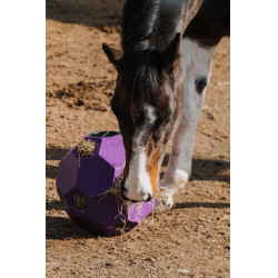 Balle anti-glouton Hippotonic pour foin multiple trou Violet