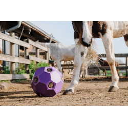 Balle anti-glouton Hippotonic pour foin multiple trou Violet