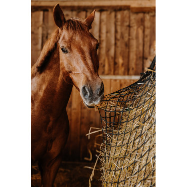 Filet à foin Hippotonic Rectangle Noir