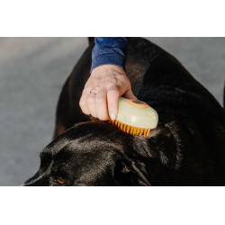 Etrille Hippotonic Vapeur Crème Beige