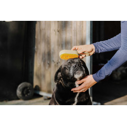 Etrille avec manche Hippotonic Vapeur Taupe Marron