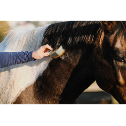 Etrille avec manche Hippotonic Vapeur Taupe Marron