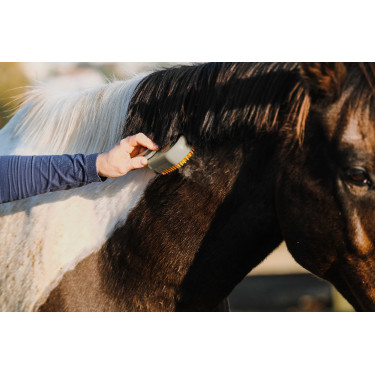 Etrille avec manche Hippotonic Vapeur Taupe Marron