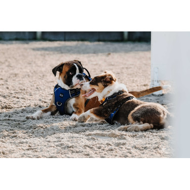 Harnais pour chien Riding World Simba Marine Bleu marine Harnais pour chien Riding World Simba Marine Bleu marine