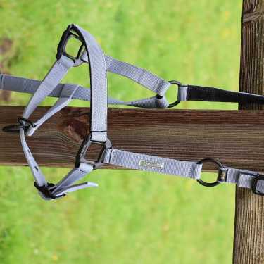 Licol Lami-Cell Midnight Bleu ardoise