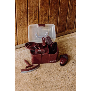 Brosse de tête Hippotonic Glitter Bordeaux