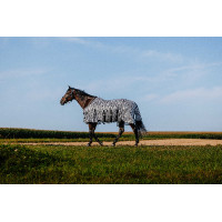 Chemise Riding World Belly Mesh Gris