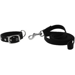 Collier et laisse pour chien Riding World Oscar Noir