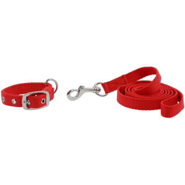 Collier et laisse pour chien Riding World Oscar Rouge Collier et laisse pour chien Riding World Oscar Rouge