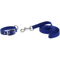 Collier et laisse pour chien Riding World Oscar Noir