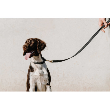 Collier pour chien Equithème Nala Noir Collier pour chien Equithème Nala Noir