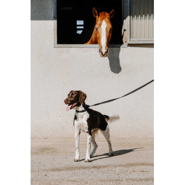 Collier pour chien Equithème Nala Noir Collier pour chien Equithème Nala Noir