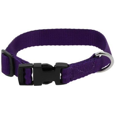 Collier pour chien Riding World Pat Violet