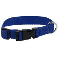 Collier pour chien Riding World Pat Bleu roi