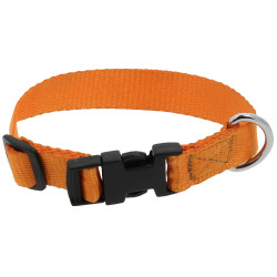 Collier pour chien Riding World Pat Orange