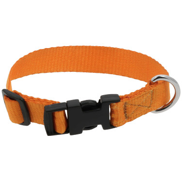 Collier pour chien Riding World Pat Orange