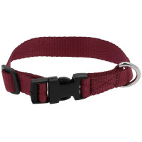Collier pour chien Riding World Pat Bleu roi