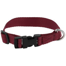 Collier pour chien Riding World Pat Bordeaux