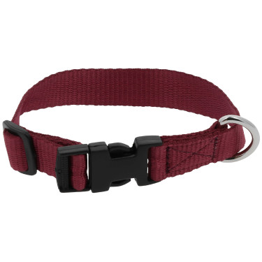 Collier pour chien Riding World Pat Bleu roi