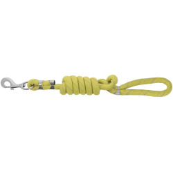 Laisse pour chien Equithème Rio