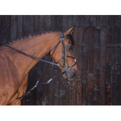 Gogue à poulies Riding World Noir