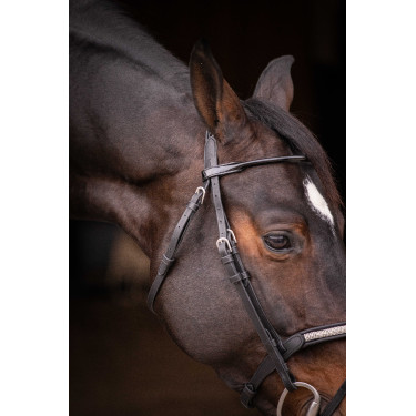 Bridon Pénélope Symphonie