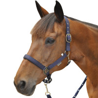 Licol Canter nylon doublé Bleu marine Licol Canter nylon doublé Bleu marine