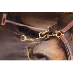 Longe présentation 2m25 Paddock Sports Marron