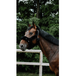 Licol Je t'aime Equithème Snuggy Noir